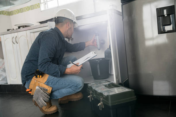 Best Leak Detection Services  in Edwardsvle, IL