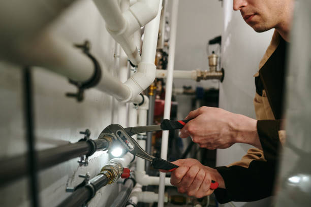Best Same-Day Plumbing Service  in Edwardsvle, IL