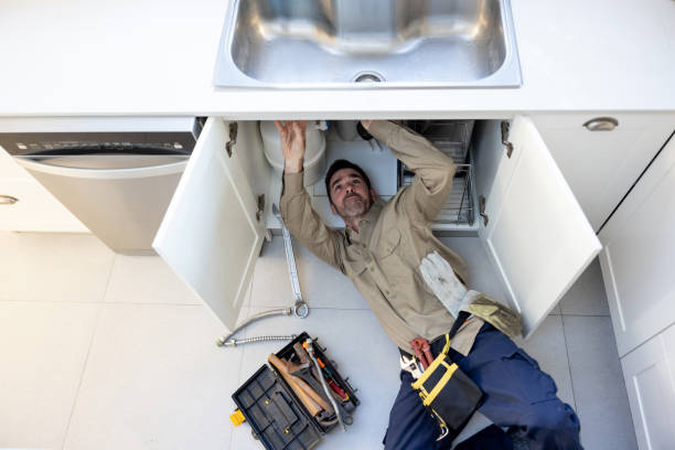 Best Best Plumbers Near Me  in Edwardsvle, IL