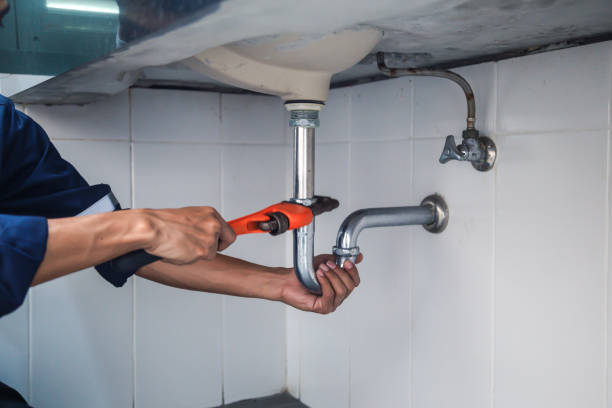 Best Plumbing Inspection Services  in Edwardsvle, IL