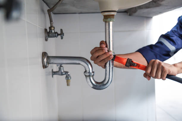 Best Local Plumber Services  in Edwardsvle, IL