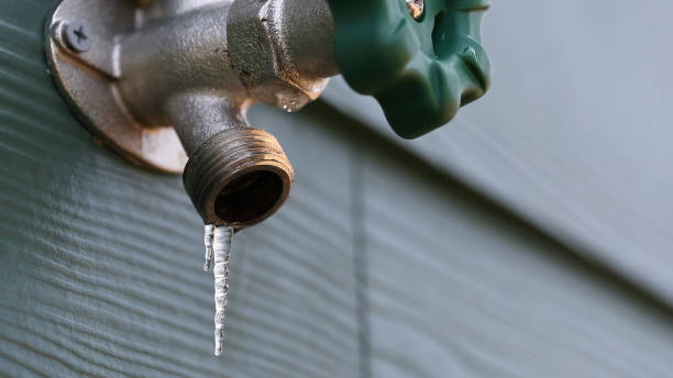 Best Water Leak Repair  in Edwardsvle, IL