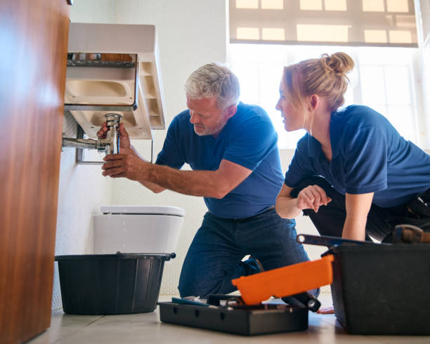 Best Plumbing Services Near Me  in Edwardsvle, IL